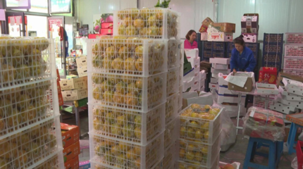 筑牢食用農(nóng)產(chǎn)品批發(fā)“節(jié)前關(guān)口”，全力守護(hù)百姓“舌尖上的安全”